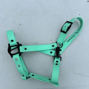 Mint Green Horse Halter